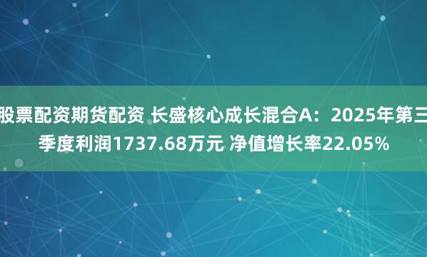股票配资期货配资 长盛核心成长混合A:2025年第三季度利润1737.68万元 净值增长率22.05%