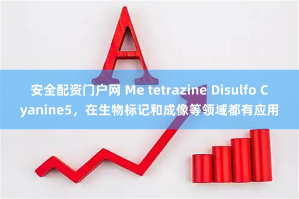 安全配资门户网 Me tetrazine Disulfo Cyanine5，在生物标记和成像等领域都有应用