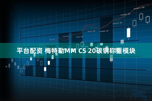 平台配资 梅特勒MM CS 20碳钢称重模块